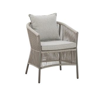 Aiatoolid ja aiapingid