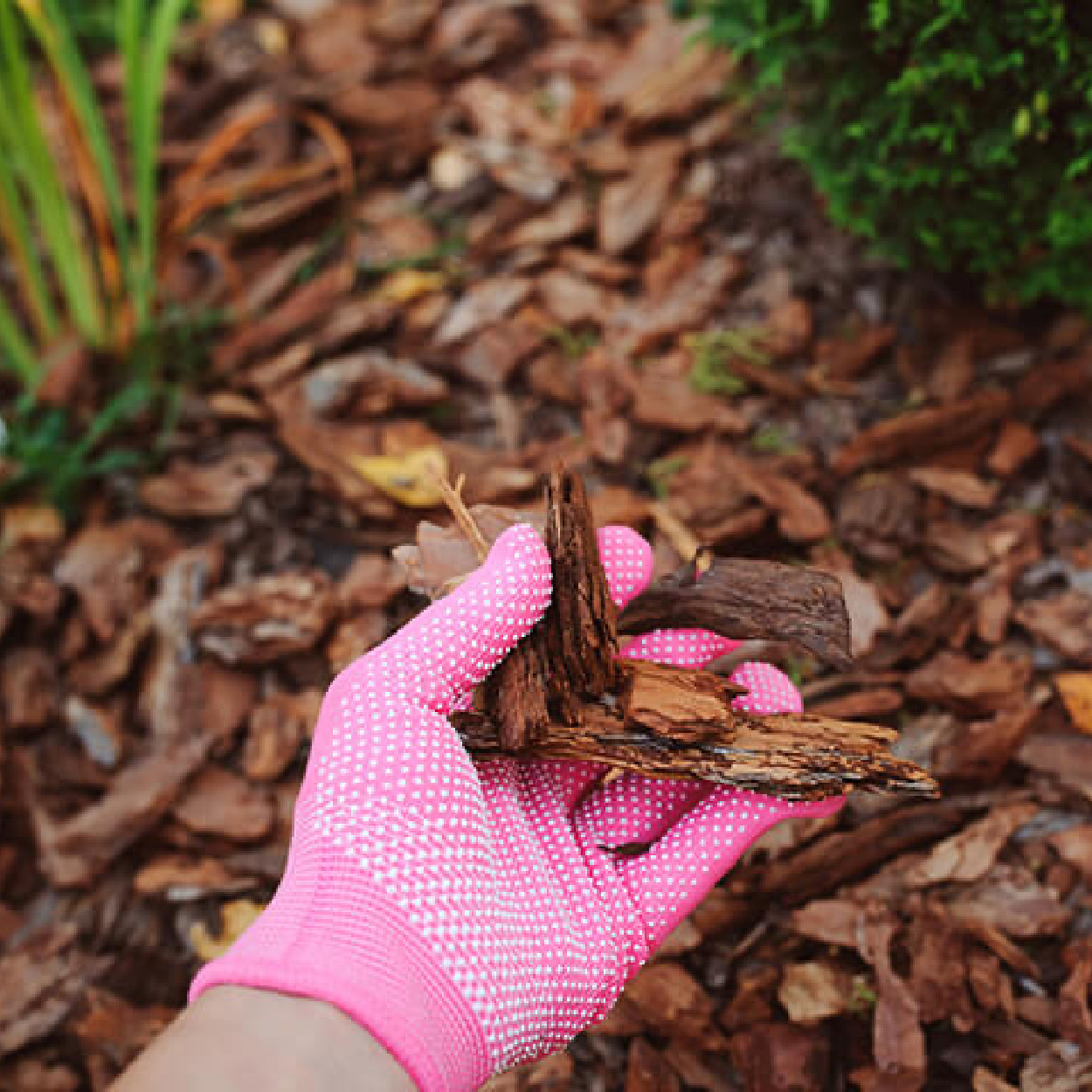 Kodu- ja aiatoimetaja kalender