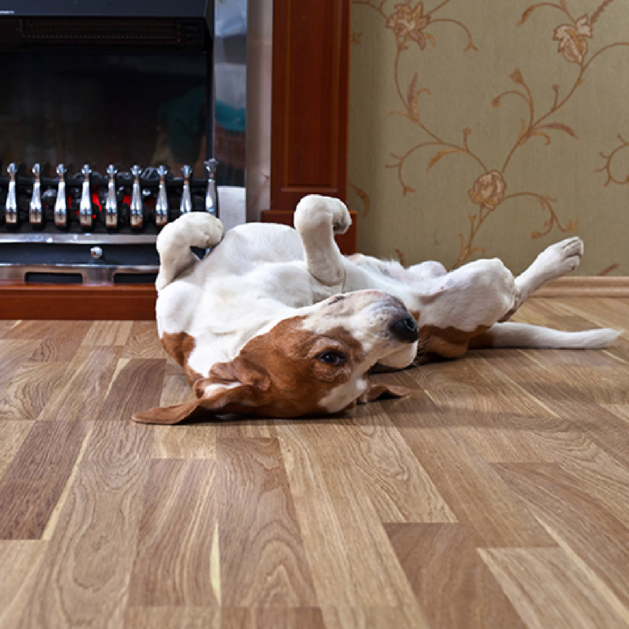 Põrandad ja plaadid