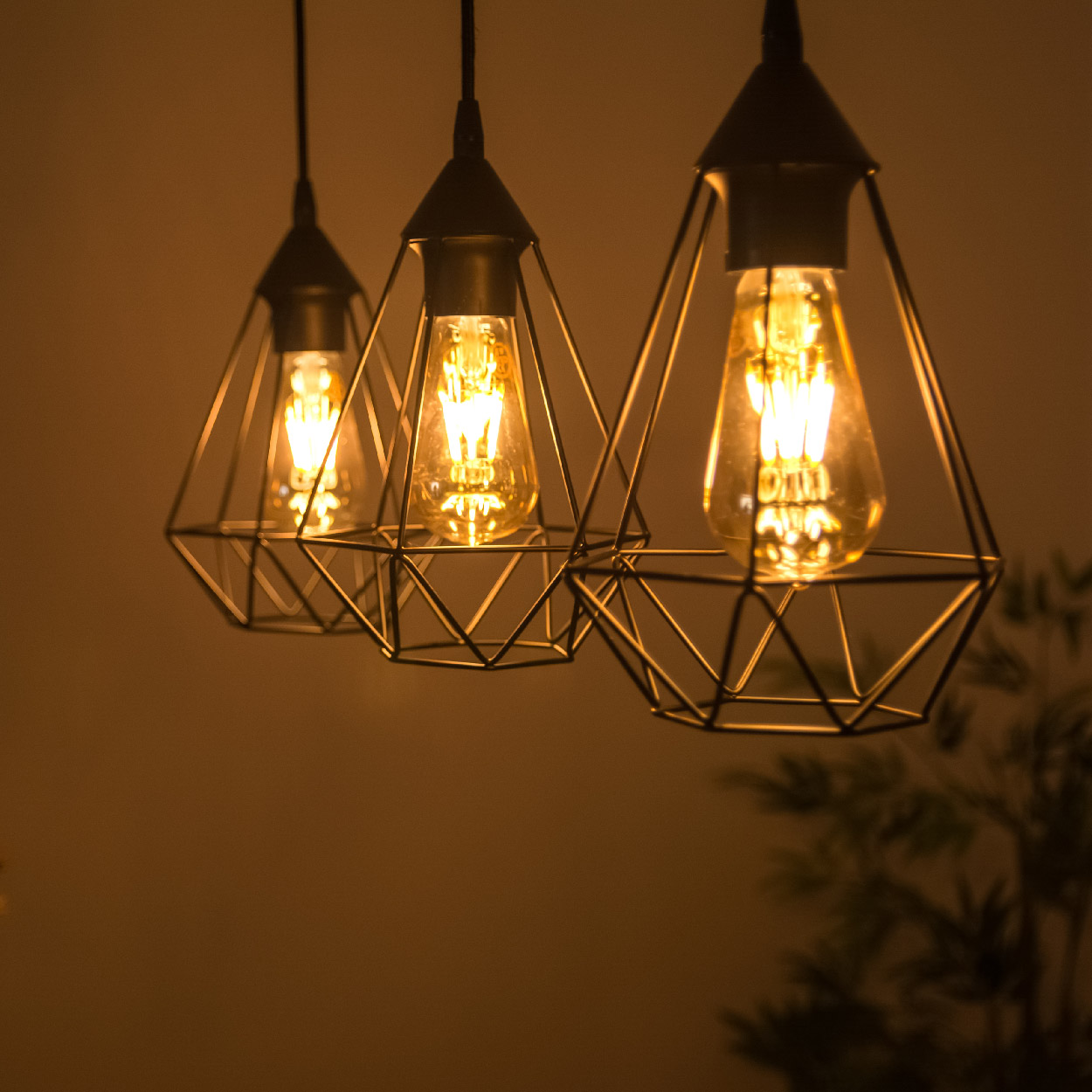 Valgustus ja elekter