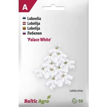 Valge lobelia seemnete pakend, millel on kujutatud valgeid lobelia õisi. Peal on kirjas 'Palace White' ja pakendi alumises osas on Baltic Agro logo. Pakendis on 50 seemet.