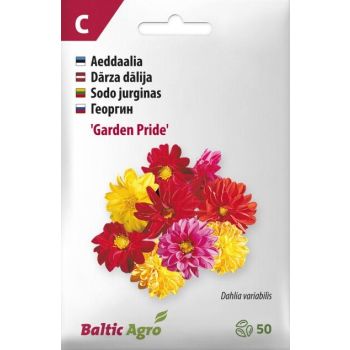 Pakend sisaldab mitmevärvilisi 'Garden Pride' daaliate seemneid, mille värvipalett hõlmab punaseid, kollaseid ja roosasid toone. Pakendil on Baltic Agro firma logo.