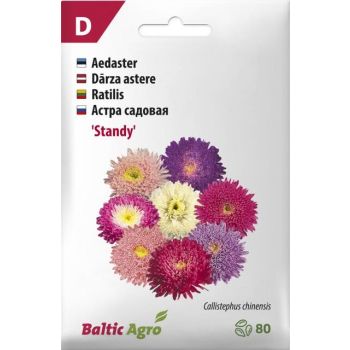 Pakendis on 'Standy' astrite seemned, millel on erinevad värvitoonid, nagu roosa, valge ja purpur. Pakendis on 80 seemet.