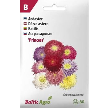Erksavärviliste õitega 'Princess' aedastrite seemnepakend, millel on kujutatud punased, roosad ja kollased täidisõied. Pakendil on tootja logo ja tüüpkategooria märgis.