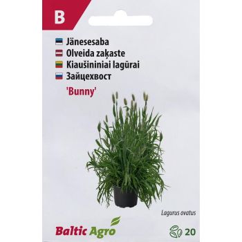 Seemned BALTIC AGRO Jänesesaba 'Bunny' 1pcs