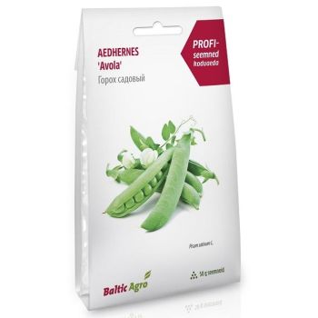 50 g herneseemnete pakk valges pakendis, millel on kujutatud küpseid hernekaunu ja tekst 'Aedhernes 'Avola'.'