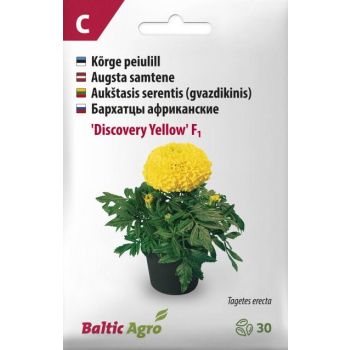 Pakendatud seemnete "Discovery Yellow" saialilledele, millel on erksad kollased õied ja rohelised lehed.