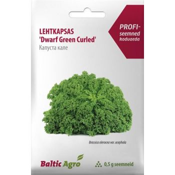 Lehtkapsa 'Dwarf Green Curled' seemnepakend, millel on esiplaanil roheline väike lokkis kapsas, tootjaks Baltic Agro, pakendi kaal 0,5 grammi.