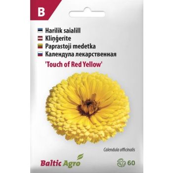 'Touch of Red Yellow' saialille seemnepakend, millel on kollased kroonlehed ja punase servaga õied; etiketil on foto õiest ja tooteinfo.