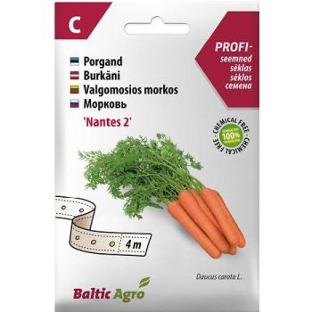 Valge, rohelise ja oranži disainiga porgandiseemnete pakend. Pakendil on porgandite pildid ning märgitud on sort 'Nantes 2'. Samuti on näidatud, et pakend sisaldab 4 meetrit seemnelinti.