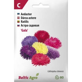 Pakend sisaldab erinevat värvi 'Gala' astrite seemneid, kokku 80 tükki. Ülaosas on brändi ja tootesarja teave, allosas aga taimede mitmekeelsed nimetused.