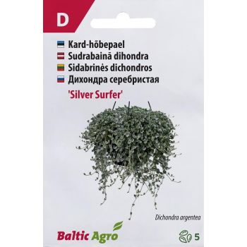 Pildil on väike seemnepakk, millel on kujutatud hõbedaste, ümarate lehtedega rippuv Dichondra argentea taim, mille all ääres on roheline Baltic Agro logo.