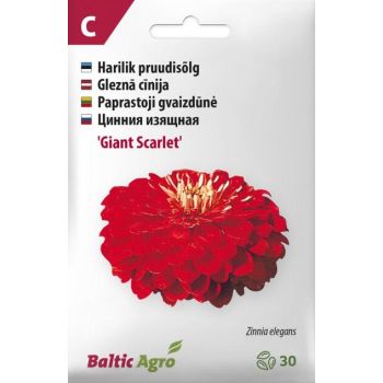 Punase 'Giant Scarlet' pruudisõlgi seemnepakend, Baltic Agro bränd, C-kategooria.
