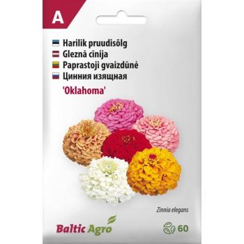 Pakendil on kujutatud erinevates toonides 'Oklahoma' pruudisõlgede (Zinnia elegans) seemned - valge, roosa, karmiinpunane, kollane. Pakend on märgistatud tootja ja taimede hooldusjuhistega.