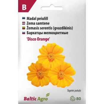 'Disco Orange' peiulille seemnepakend, millel on oranžid õied, on kujutatud erksate toonidega. Pakend sisaldab seemneid ja on märgistatud kaubamärgiga Baltic Agro.