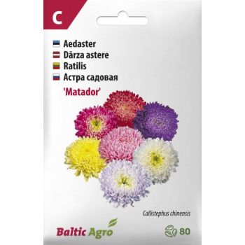 Astri 'Matador' seemnepakend, mille õied on erinevates värvitoonides: lilla, kollane, roosa ja valge. Pakendil on tekst 'Baltic Agro' ja see sisaldab 80 seemet.