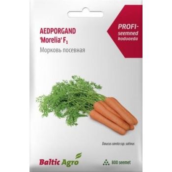 Pakendis on 800 seemet Morelia F1 aedviljaporgandi sorti. Pilt näitab oranže porgandeid roheliste lehtedega.