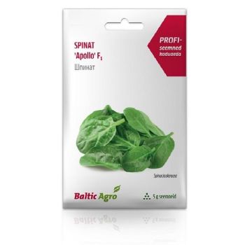 Pakendil on kujutatud värsked spinatilehed. Pakend on valge, punaste ja roheliste detailidega ning sellel on tekst 'Spinat Apollo F1, Špinat' ja kaubamärk 'Baltic Agro'. Pakendis on 5 grammi seemneid.