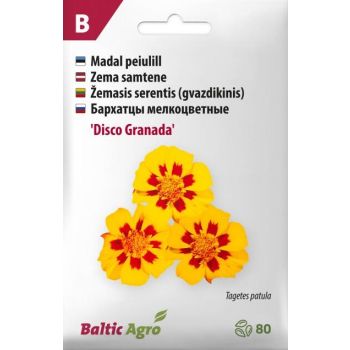 Kollaste kroonlehtede ja punaste täppidega 'Disco Granada' peiulille seemnepakend.