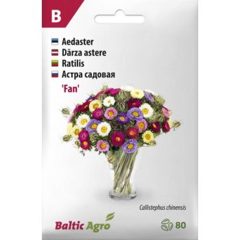Aedasteri seemnepakend 'Fan' sisaldab mitmevärvilise aedasteri segu. Pakendil on sortide nimed erinevates keeltes ja tooteinfo.