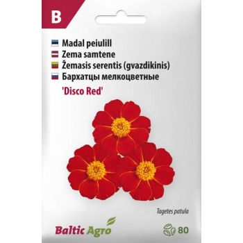 Pakendil 'Disco Red' peiulille seemnete jaoks on kujutatud punased lilled kollase keskosaga. Märgistusel on tooteinfo ja brändi logo 'Baltic Agro'.
