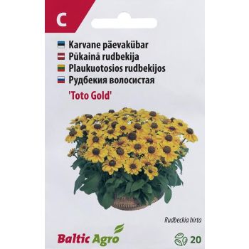 Pakendis on päevakübara 'Toto Gold' seemned, millel on kujutatud rohkelt kollastes õites taim. Pakendi ülaosas on logo ja mitmekeelne tootenimetus.