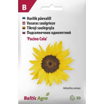 Pakendil on kujutatud suur kollane päevalilleõis. Erinevates keeltes kirjad tutvustavad 'Pacino Cola' sorti. Brändi logo ja taimede istutamise sümbolid asuvad üleval.
