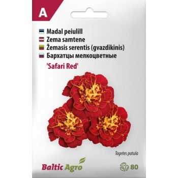 Pakk sisaldab 'Safari Red' madalate peiulillede seemneid, millel on punased õied kollaste detailidega. Pakendis on 80 seemet.