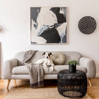 Kaasaegses elutoas hall diivan pehmenduspadjate ja halli pleediga, seinale riputatud abstraktne maal, musterseinaplaat ning koer diivanil.