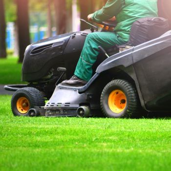 Roheline murutraktor muru niitmisel, varustatud suure kogumiskastiga.