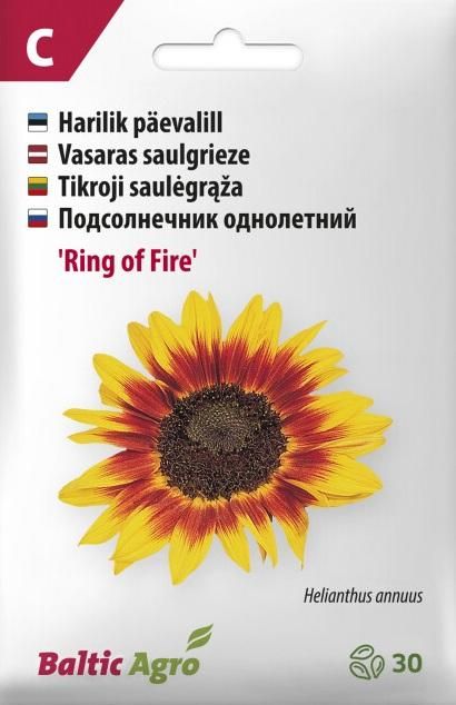 Seemned Päevalill Ring of Fire 4744360019031
