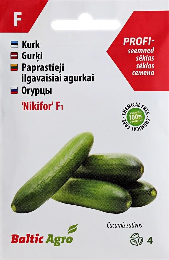  Seemned Pikk kurk 'Nikifor' Baltic Agro F1, 4s  4744360019666