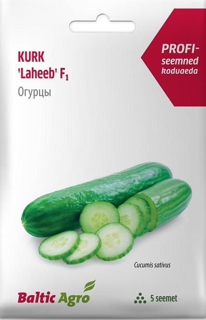Seemned Poolpikk kasvuhoonekurk 'Laheeb' F1 5 seemet D 4742604004065