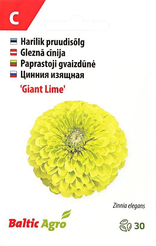  Seemned Pruudisõlg 'Giant Lime' Baltic Agro 30 seemet  4744360018935
