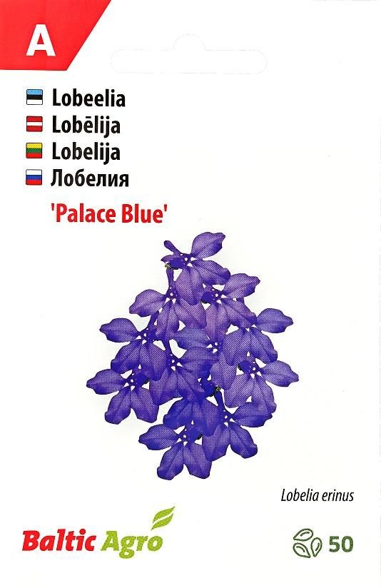  Seemned Lobeelia 'Blue Palace' Baltic Agro 50 pilli  4744360018782