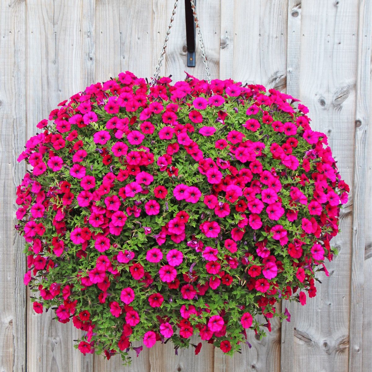 Ampli hooldus blogi-Ampli-hooldus