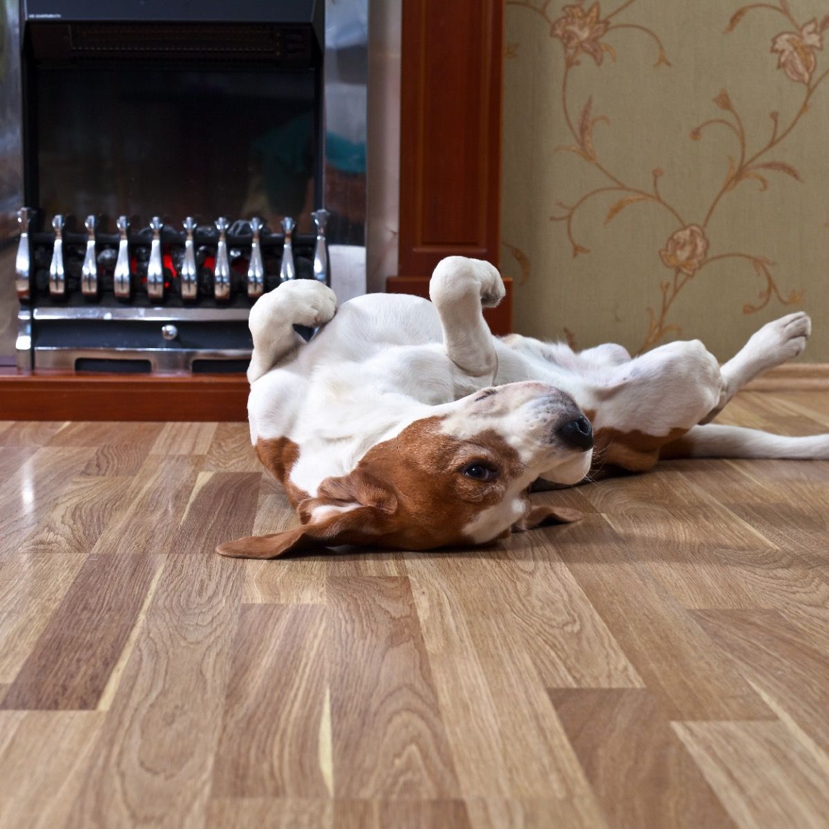 Kuidas valida laminaatparketti? blogi-Kuidas-valida-laminaatparketti?