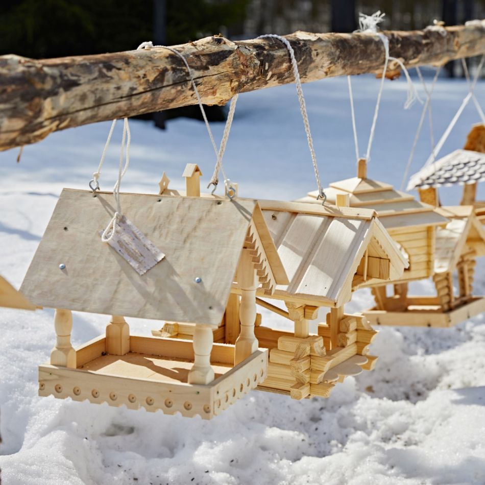 Pildil on lumele asetatud mitmed puidust linnusöögimajad, mis on üles riputatud puutüve külge. Söögimajadel on katused ja lihtsad konstruktsioonid.