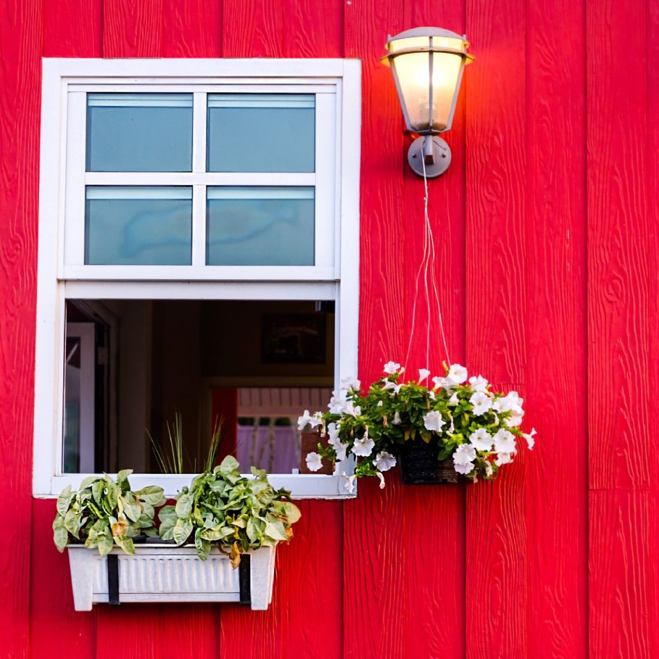 Punane puitmaja seinaosa, kus on valge raamidega aknad ja lillekastid.